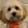 Finn’s mom's profile picture