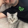Profilbild von Cemsultan Demirhan