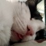 Nanie 的头像
