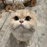 Profilbild von Doug Catsby