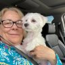 Profilbild von Cindy Zimmerman