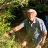 Nolan Fowles 的头像