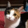 りえ profil fotoğrafı