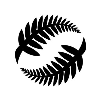 NZ_Football's profile picture