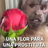MANK profil fotoğrafı