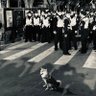 雷老狗's profile picture
