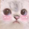 🌿🌸Chaniล์🌸🌿's profile picture