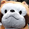 おつカレーゆうた's profile picture