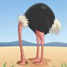 Фото профиля Free Ostrich