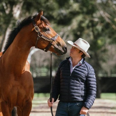 TomMagnier's profile picture