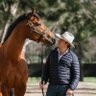 Profilbild von Tom Magnier Coolmore