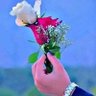 احمد النجفي profil fotoğrafı