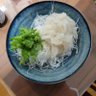 ギザ🌲 的头像