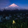 Фото профиля Damavand