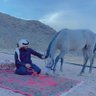عبدالله's profile picture
