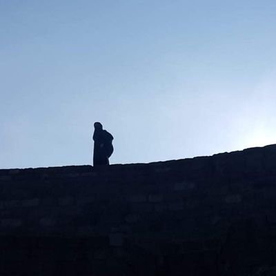 hilâl işci's profile picture