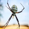 Фото профиля Andrew Brooks