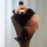 Profilbild von sima-chan