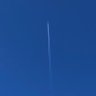 ラーメンはネギ抜きで's profile picture