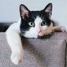 MufonUFO's profile picture