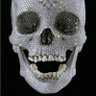 El condor Skull 的头像