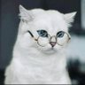 Muhammad yunus's profile picture