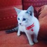 bonaria's profile picture