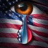 Vince Bertei's profile picture