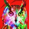 Фото профиля HibouCrypto