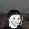 Profilbild von rod.696