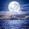 Фото профиля Nueva Luna
