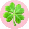 Profilbild von 🍀まゆみ🍀