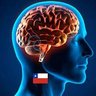 Dagoberto Vidal's profile picture