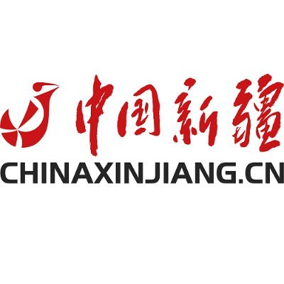 xinjiangchannel's profile picture
