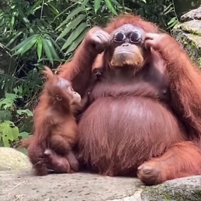 ironsyde123's profile picture