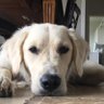 Laura's profile picture