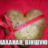 白俄罗斯土豆神教教主🇨🇳🇧🇾🇷🇺's profile picture