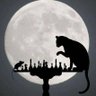 Amitabha's profile picture
