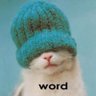 MeowWithoutFear profil fotoğrafı