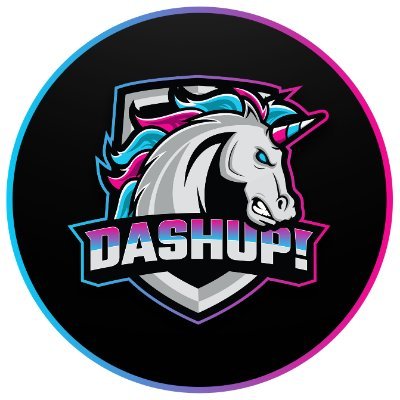DashupYT's profile picture