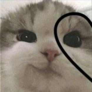 thanziinnhoo's profile picture