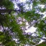 青い空 profil fotoğrafı