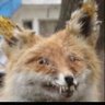WinPinny's profile picture
