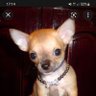 Freddie junior 的头像