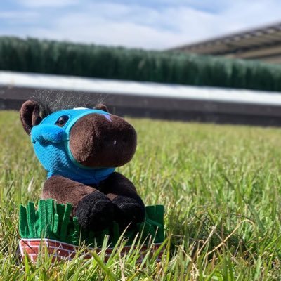 ひらこ's profile picture