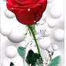 سعيد السكيتي's profile picture