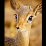 Nona profil fotoğrafı