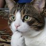 たかひろ profil fotoğrafı