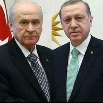 Gülay Çankaya Akın's profile picture
