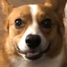 Profilbild von Gavin Velour